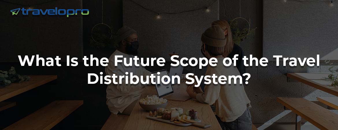 What Is the Future Scope of the Travel Distribution System?
