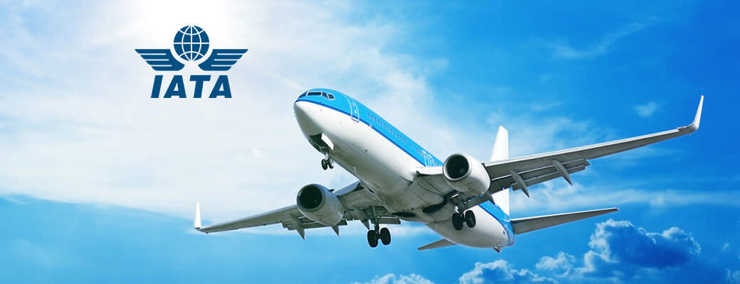 How to Become an IATA Agent