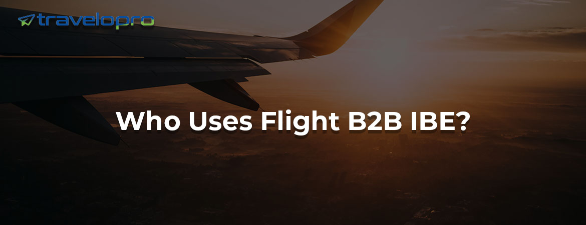 Who Uses Flight B2B IBE?
