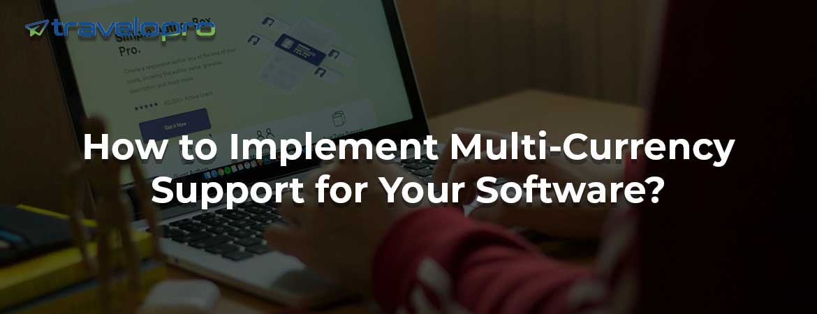 How to Implement Multi-Currency Support for Your Software?