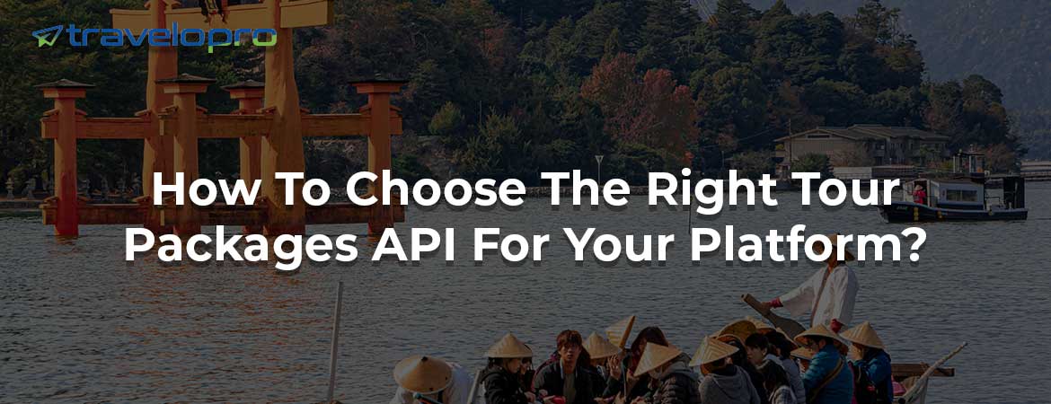How To Choose The Right Tour Packages API For Your Platform?