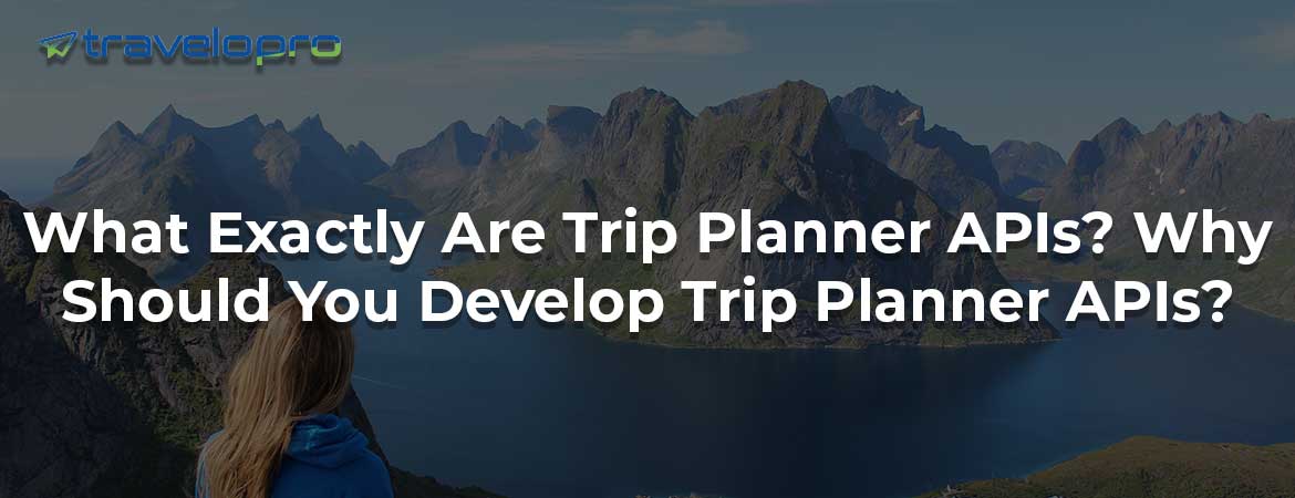 What Exactly Are Trip Planner APIs? Why Should You Develop Trip Planner APIs?